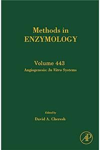 Angiogenesis: In Vitro Systems