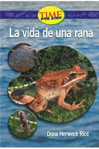 La Vida de una Rana
