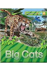 Explorers: Big Cats