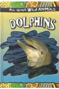 Dolphins