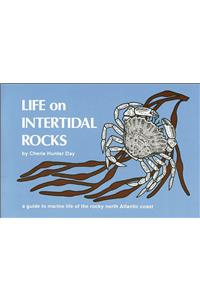 Life on Intertidal Rocks