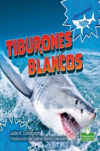 Tiburones Blancos (Great White Sharks)