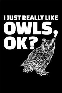 I Just Really Like Owls, OK?