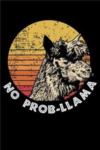 No Prob-Llama