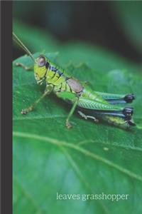 Leaves Grasshopper