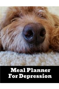 Meal Planner For Depression