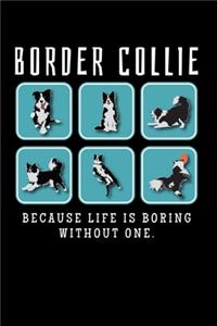Border Collie, Because Life Is Boring Without One