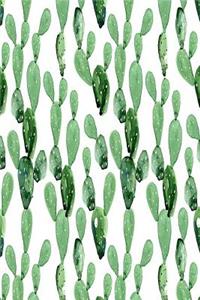 Cactus Journal