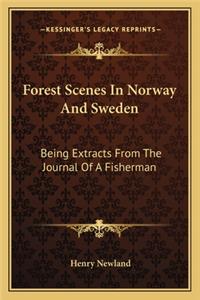 Forest Scenes in Norway and Sweden
