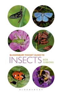 Pocket Guide to Insects