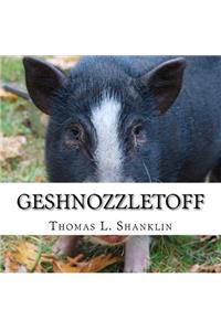 Geshnozzletoff