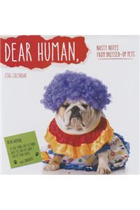 Dear Human 2016 Wall Calendar: Nasty Notes From Up Pets