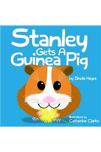 Stanley Gets a Guinea Pig
