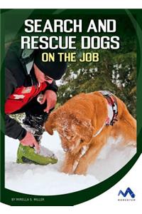 Search and Rescue Dogs on the Job