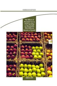 Effects of Potential Cuts in SNAP Spending on Households With Different Amounts of Income