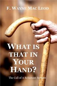 What is That in Your Hand?