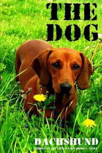The Dogs (Dachshund)