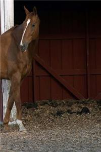 Journal Standing Chestnut Equine Horse