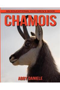 Chamois! An Educational Children's Book about Chamois with Fun Facts & Photos