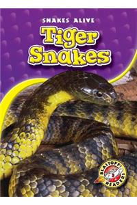 Tiger Snakes