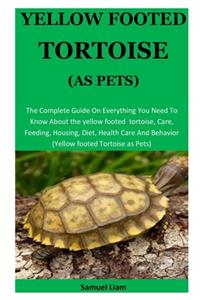 Yellow Footed Tortoise