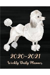 2020 - 2021 Weekly Daily Planner: Cute Dog Gifts for Dog Lovers and Owners, Two Year Weekly Planner: Jan 2020 - Dec 2021, 24 Month Weekly Daily Calendar Planner: White Poodle