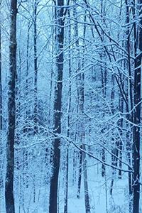 2020 Weekly Planner Winter Snowy Morning Blue Hour 134 Pages