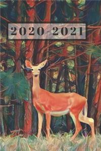 Cute Red Brown Deer in Green Woods Dated Calendar Planner 2 years To-Do Lists, Tasks, Notes Appointments for Men & Women