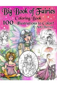 Big Book of Fairies Coloring Book - 100 Pages of Flower Fairies, Celestial Fairies, and Fairies with their Companions