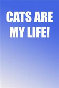 Cats Are My Life!