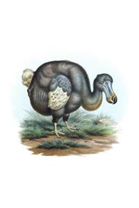 Dodo Bird Composition Book