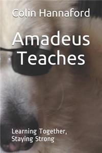 Amadeus Teaches