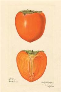 Japanese Persimmon Watercolor Journal