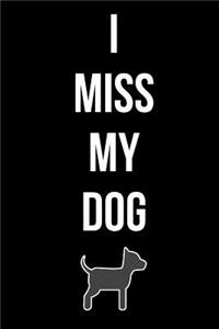 I Miss My Dog