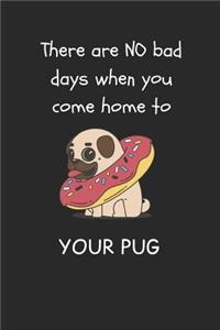 There Are No Bad Days When You Come Home to Your Pug