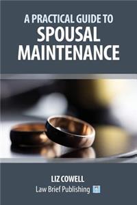 Practical Guide to Spousal Maintenance