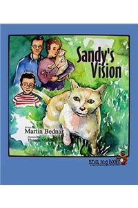 Sandy's Vision