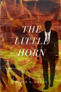 Little Horn