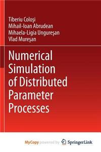 Numerical Simulation of Distributed Parameter Processes