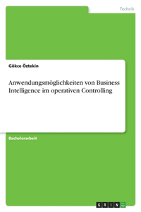 Anwendungsmöglichkeiten von Business Intelligence im operativen Controlling