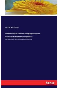 Krankheiten und Beschädigungen unserer landwirtschaftlichen Kulturpflanzen