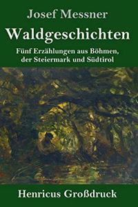Waldgeschichten (Großdruck)