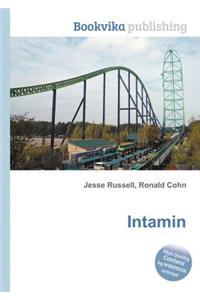 Intamin