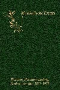 Musikalische Essays
