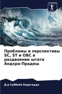 Проблемы и перспективы Sc, St и Obc в раздвоении шт&