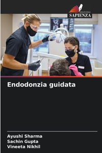 Endodonzia guidata