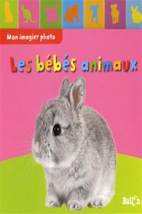 Mon imagier photo