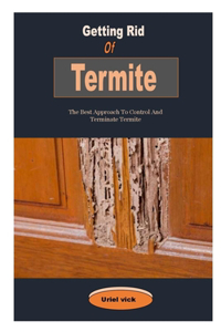 Getting Rid Of Termite
