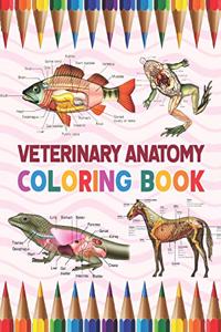 Veterinary Anatomy Coloring Book