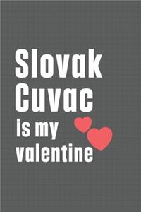 Slovak Cuvac is my valentine